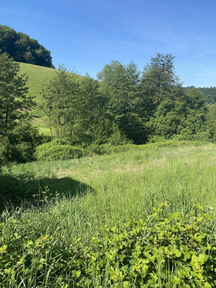  قطعة أرض في Bergstrase, Germany 632متر مربع رقم 357026