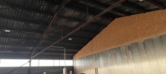 Propiedad comercial en Wundschuh, Austria 305 m² No. 131662 9