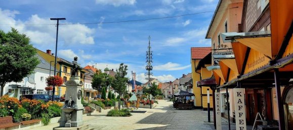 Terrain à Kindberg, Austria 30573m² No. 21293 9