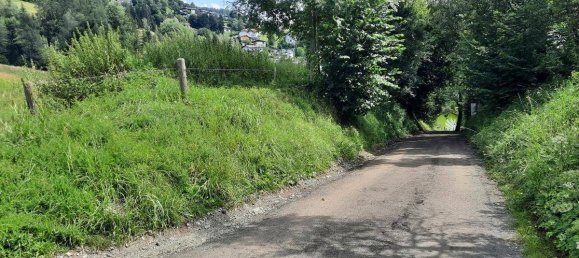 Terrain à Kindberg, Austria 30573m² No. 21293 7