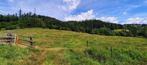 Terrain à Kindberg, Austria 30573m² No. 21293 4