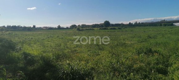 9024m² Land in Vila Nova de Famalicao, Portugal No. 32689 11
