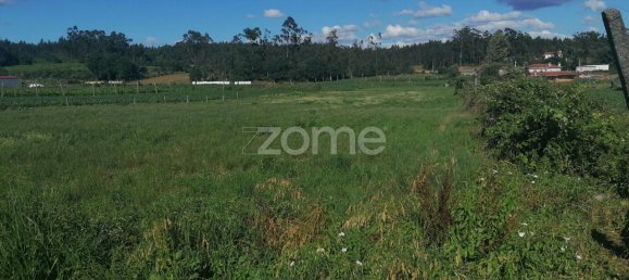 9024m² Land in Vila Nova de Famalicao, Portugal No. 32689 15