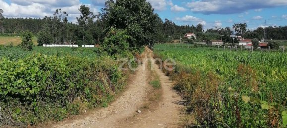 9024m² Land in Vila Nova de Famalicao, Portugal No. 32689 10