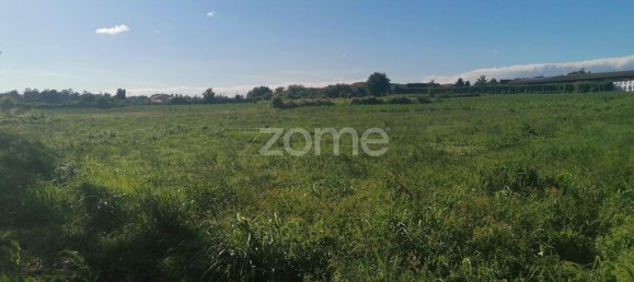 9024m² Land in Vila Nova de Famalicao, Portugal No. 32689 5