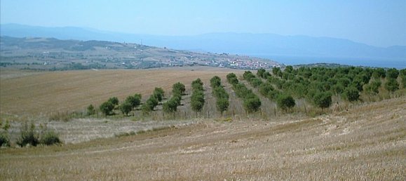  فندق في Chalkidiki, Greece 11200متر مربع رقم 5440 6