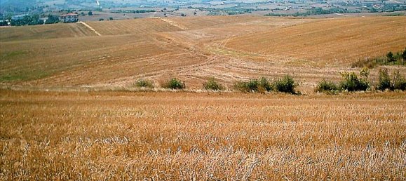  فندق في Chalkidiki, Greece 11200متر مربع رقم 5440 2