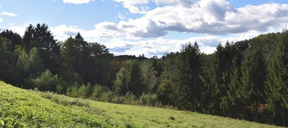 Grundstück in Kainbach bei Graz, Austria, Nr. 248634 2