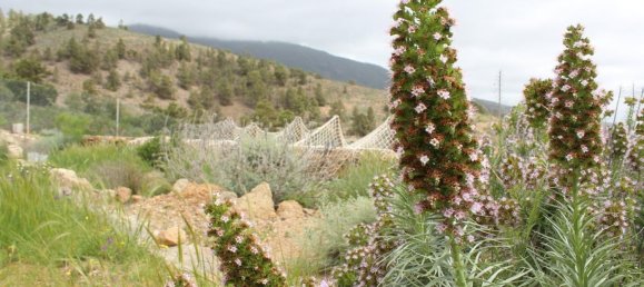 1474m² Land in Arico, Spain No. 174350 3