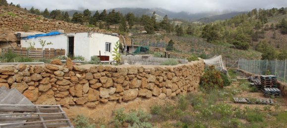 1474m² Land in Arico, Spain No. 174350 4