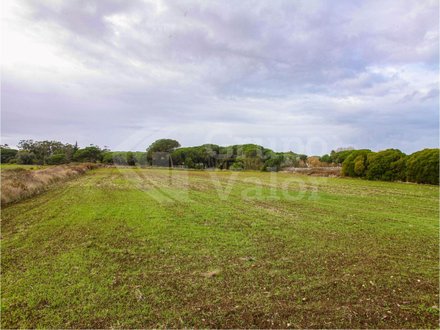  قطعة أرض في Sintra, Portugal 17560متر مربع رقم 81555