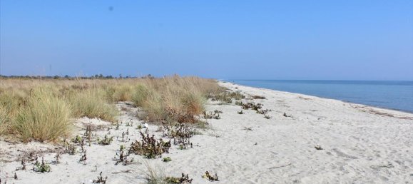 10000m² Hotel in Litochoro, Greece No. 4488 3