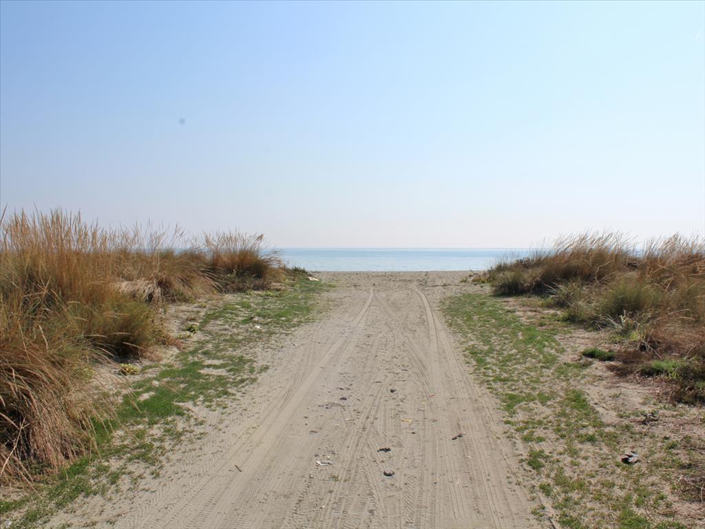 10000m² Hotel in Litochoro, Greece No. 4488