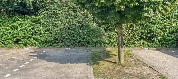 استوديو في Demmin, Germany رقم 369384 13