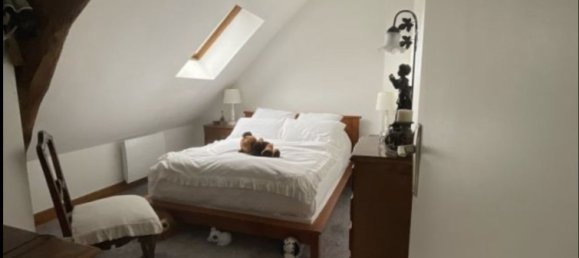 6 Schlafzimmer Haus in Chemery, France, Nr. 250494 18
