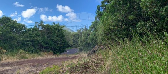 2 bedrooms House in Horta, Portugal No. 23886 9