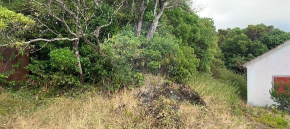 2 bedrooms House in Horta, Portugal No. 23886 7