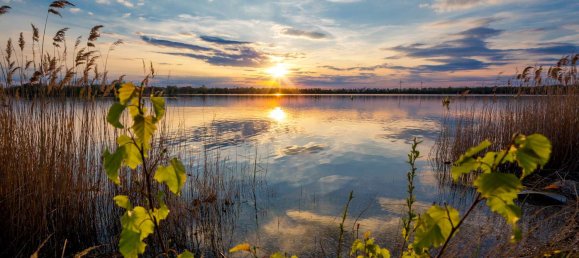Grundstück in Leipzig, Germany, Nr. 182893 10