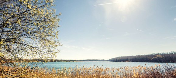 Grundstück in Leipzig, Germany, Nr. 182893 2