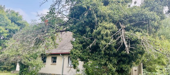 Grundstück in Leipzig, Germany, Nr. 182893 6