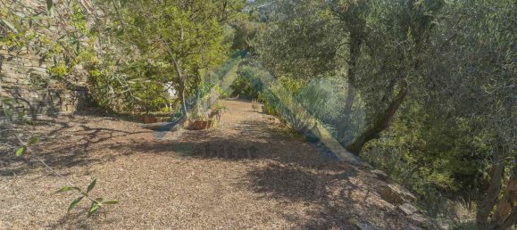 5-Zimmer Villa in Perinaldo, Italy, Nr. 85426 23