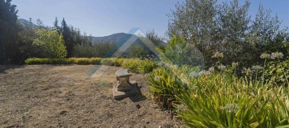 5-Zimmer Villa in Perinaldo, Italy, Nr. 85426 16