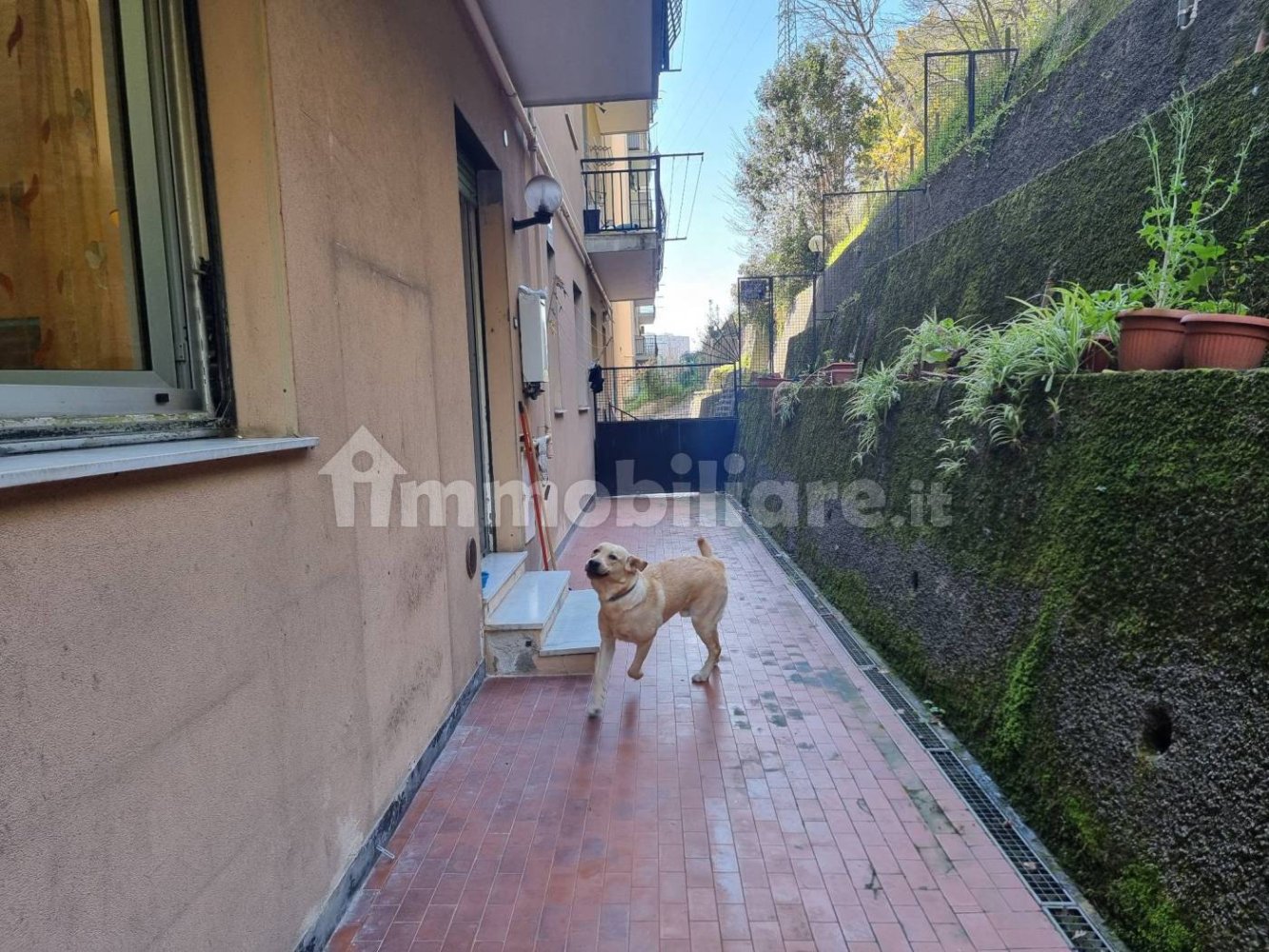 2 chambres Appartement à Genoa, Italy No. 61701