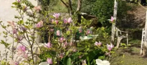 Casa de 4 dormitorios en Orense, Spain No. 140475 5