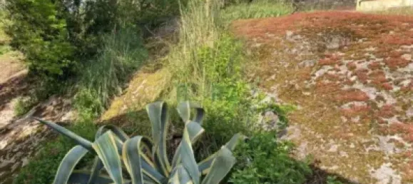 Casa de 4 dormitorios en Orense, Spain No. 140475 35