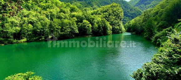 2 chambres Maison à Careggine, Italy No. 312266 19