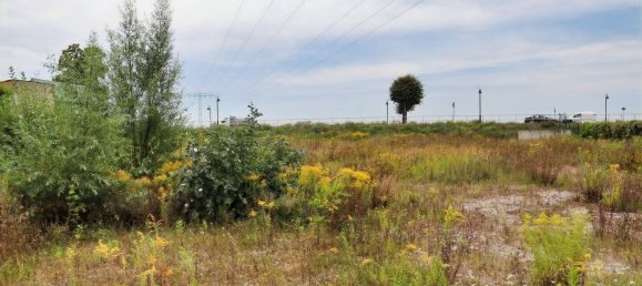  Land in Markisch-Oderland, Germany No. 327609 4