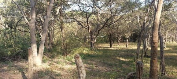 Land for sale in Santa Cruz, Guanacaste, Costa Rica № 1424 4