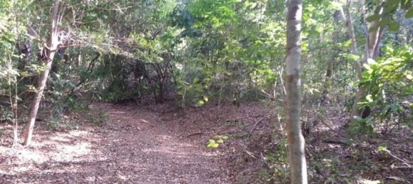 Land for sale in Santa Cruz, Guanacaste, Costa Rica № 1424 5