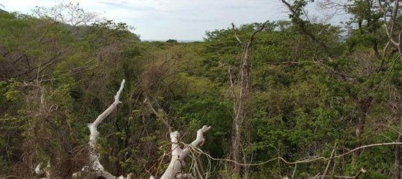 Land for sale in Santa Cruz, Guanacaste, Costa Rica № 1424 2