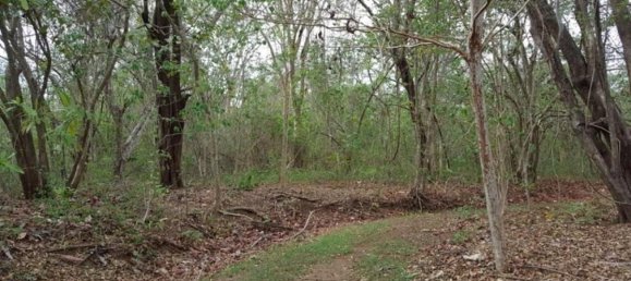 Land for sale in Santa Cruz, Guanacaste, Costa Rica № 1424 3
