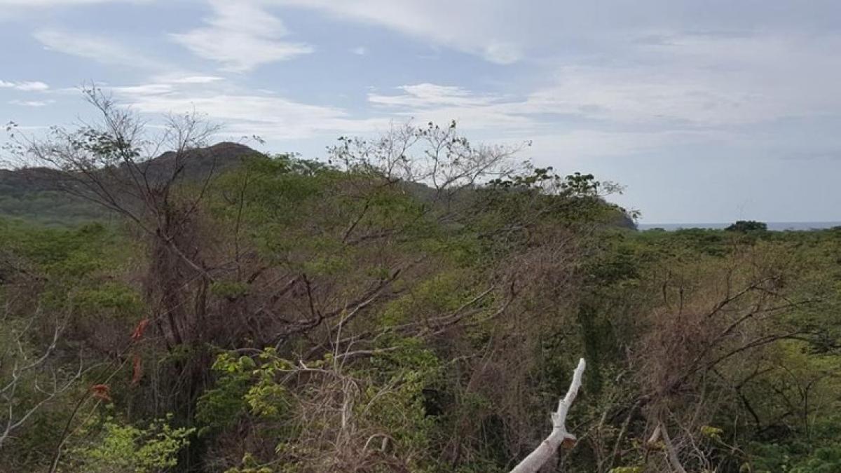 Land for sale in Santa Cruz, Guanacaste, Costa Rica № 1424