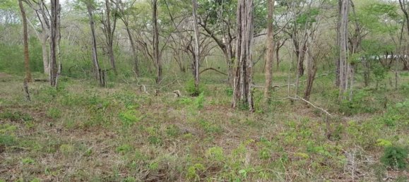 Land for sale in Santa Cruz, Guanacaste, Costa Rica № 1424 6