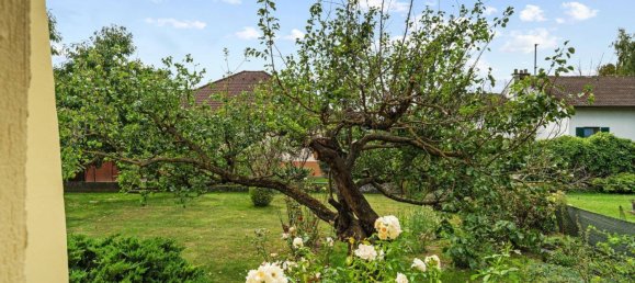 4غرفة بنغالو في St. Andra-Wordern, Austria رقم 247459 23