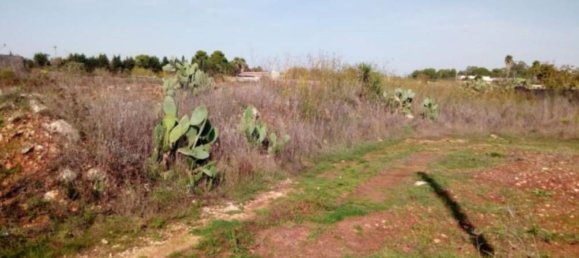 Terreno en Alessano, Italy 6857 m² No. 273819 4