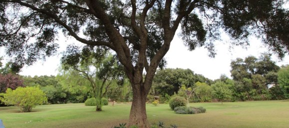 5 chambres Villa à Cadiz, Spain No. 29233 46