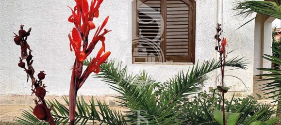 Villa de 5 habitaciónes en Giardini-Naxos, Italy No. 223318 12