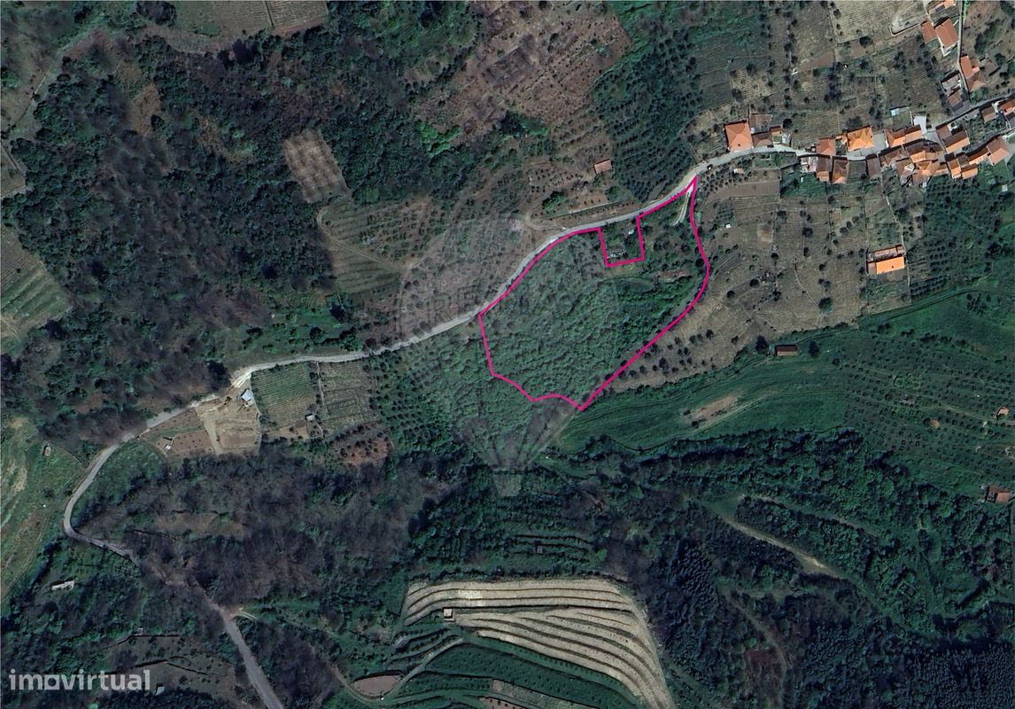 14625m² Land in Lamego, Portugal No. 332801
