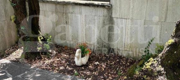 Вилла с 5 спальнями в Патрика, Италия № 201399 15