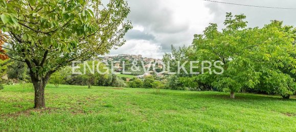 12000m² Land in Velletri, Italy No. 125640 5