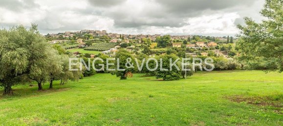 12000m² Land in Velletri, Italy No. 125640 6
