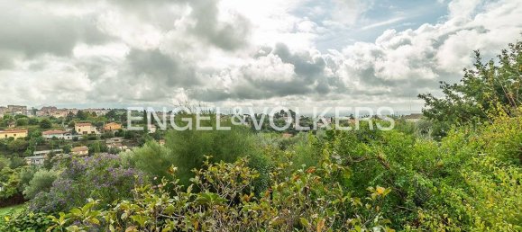 12000m² Land in Velletri, Italy No. 125640 9