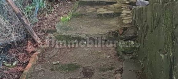 3 bedrooms House in Calice al Cornoviglio, Italy No. 251438 17