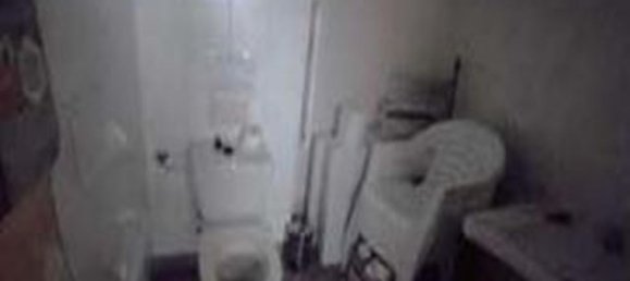 Gewerbliche Immobilie in Brescia, Italy 41m², Nr. 335628 19