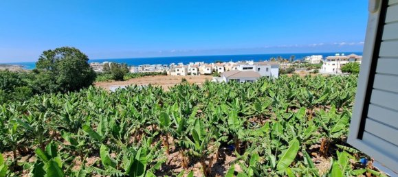 Propriedade comercial T3 em Kissonerga, Cyprus N.º 9595 7