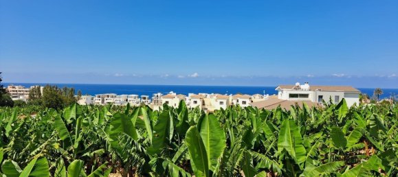 Propriedade comercial T3 em Kissonerga, Cyprus N.º 9595 13